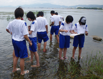 生き物しらべ体験学習